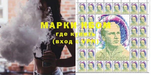 ГАЛЛЮЦИНОГЕННЫЕ ГРИБЫ Дмитриев