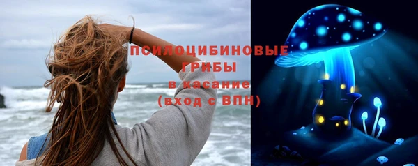 ГАЛЛЮЦИНОГЕННЫЕ ГРИБЫ Дмитриев