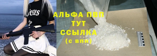 ГАЛЛЮЦИНОГЕННЫЕ ГРИБЫ Дмитриев