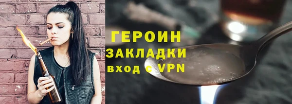 ГАЛЛЮЦИНОГЕННЫЕ ГРИБЫ Дмитриев
