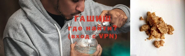 ГАЛЛЮЦИНОГЕННЫЕ ГРИБЫ Дмитриев