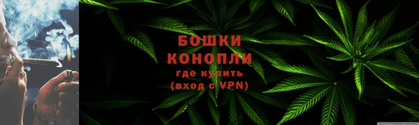 ешки Ельня