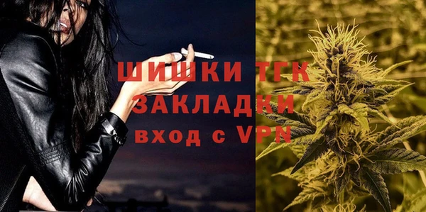 ГАЛЛЮЦИНОГЕННЫЕ ГРИБЫ Дмитриев