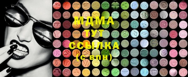 ГАЛЛЮЦИНОГЕННЫЕ ГРИБЫ Дмитриев