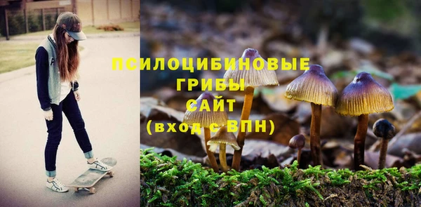 героин Елабуга