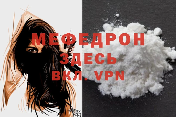 ГАЛЛЮЦИНОГЕННЫЕ ГРИБЫ Дмитриев