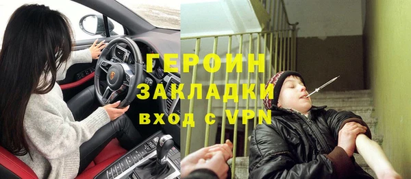 ГАЛЛЮЦИНОГЕННЫЕ ГРИБЫ Дмитриев