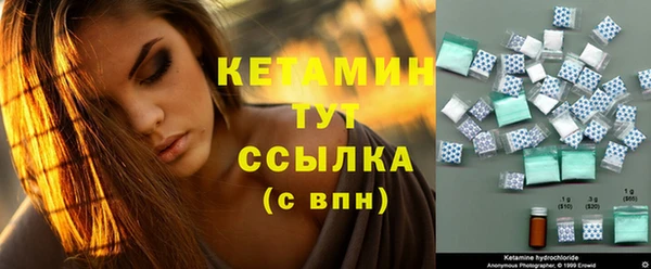 ГАЛЛЮЦИНОГЕННЫЕ ГРИБЫ Дмитриев