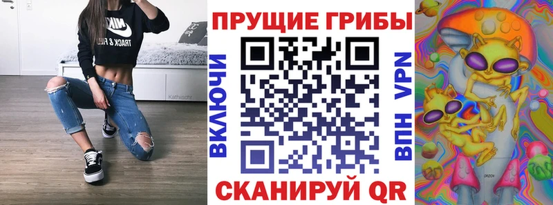 OMG ONION  Черкесск  Псилоцибиновые грибы MAGIC MUSHROOMS 